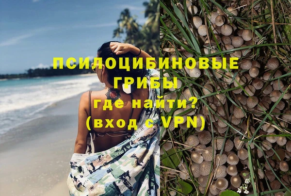 прущие грибы Алексеевка