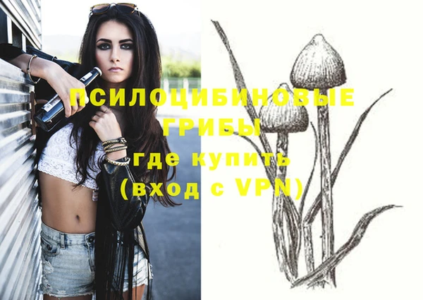 прущие грибы Алексеевка