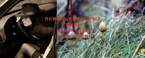 кокс Ивангород