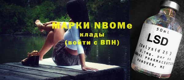 прущие грибы Алексеевка