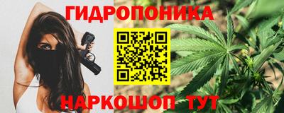 стаф Изобильный