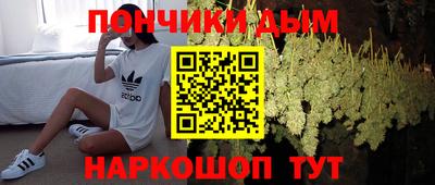крисы Ирбит