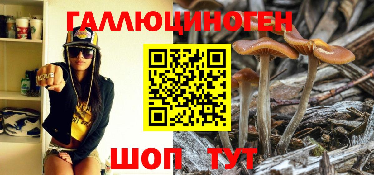 Галлюциногенные грибы Psilocybe  Вход с VPN  Галлюциногенные грибы Cubensis  Коряжма 