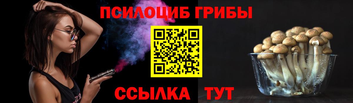 Псилоцибиновые грибы мицелий Коряжма